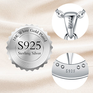S925 Compass Jewelry Women Wedding Anniversary Necklace Gift for Wife Sterling Silver Girlfriend Birthday Gifts for Her Girls Necklaces for Ideas I'd be Lost without You Jewel